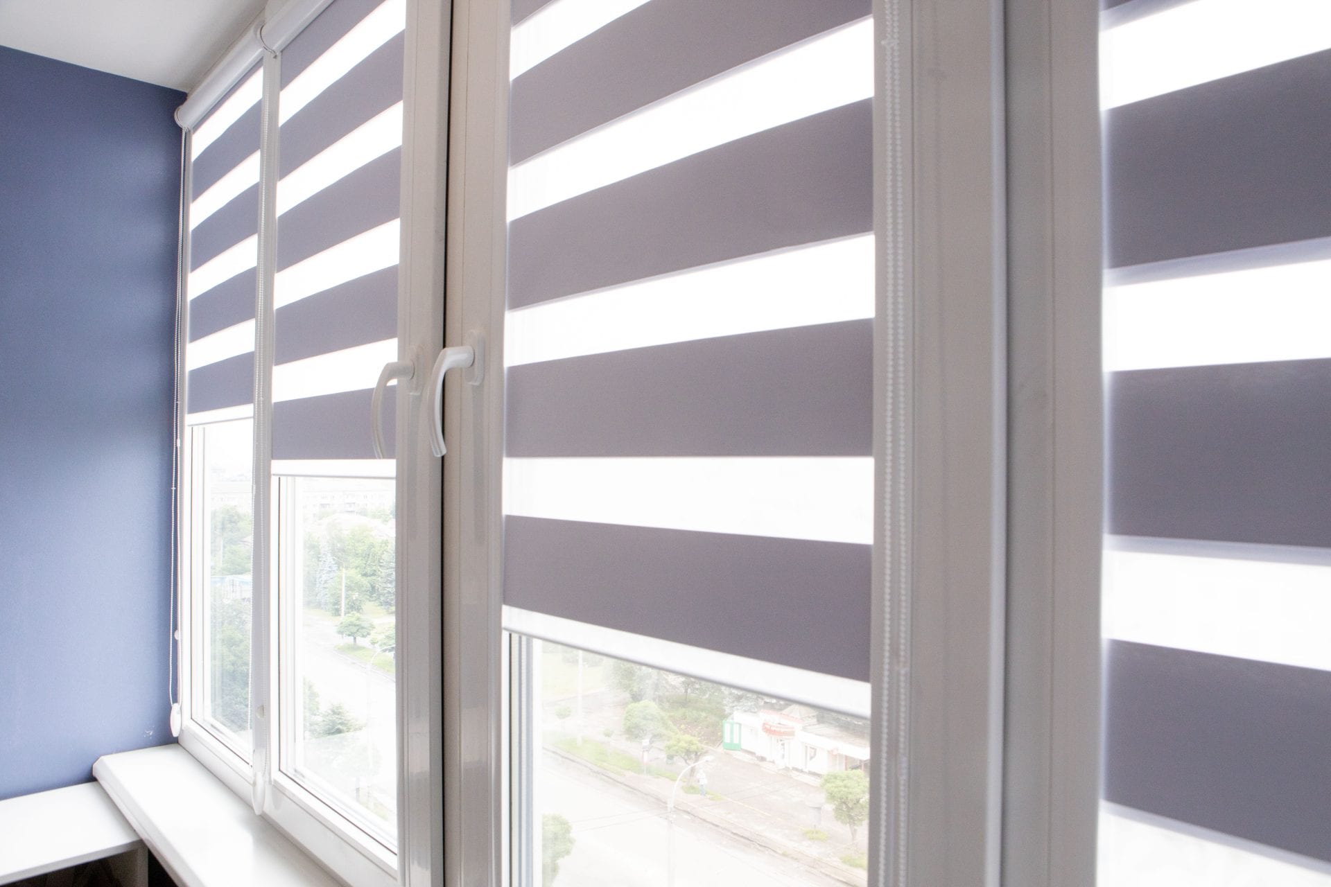 Zebra Blinds